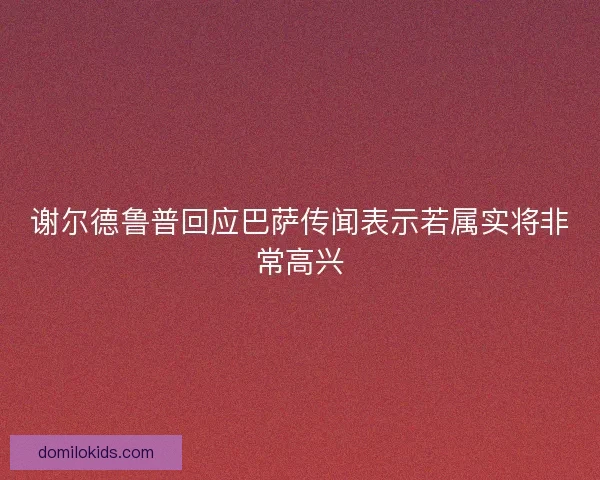 谢尔德鲁普回应巴萨传闻表示若属实将非常高兴