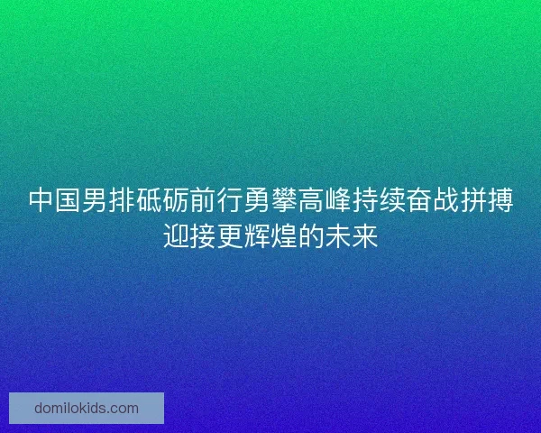 中国男排砥砺前行勇攀高峰持续奋战拼搏迎接更辉煌的未来